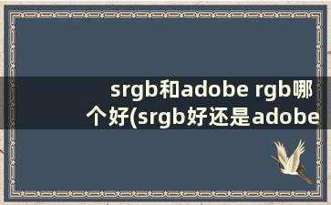 srgb和adobe rgb哪个好(srgb好还是adobergb)